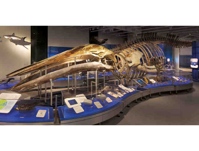 Family Admission Pass for the Canadian Museum of Nature