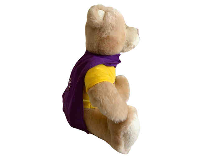 Super Teddy Bear