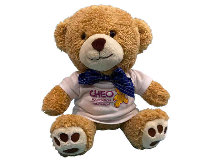 CHEO Teddy Bear