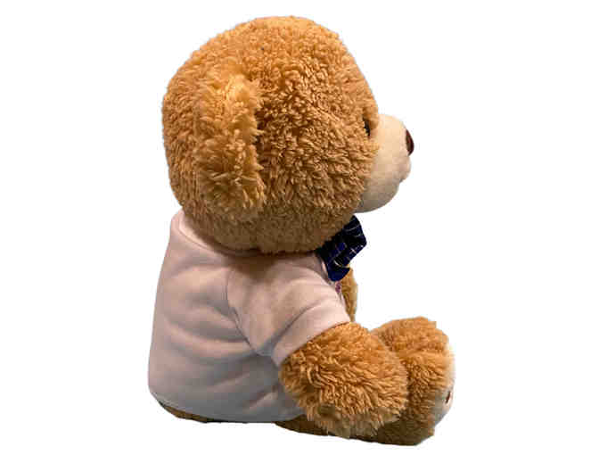 CHEO Teddy Bear