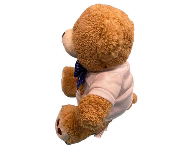 CHEO Teddy Bear