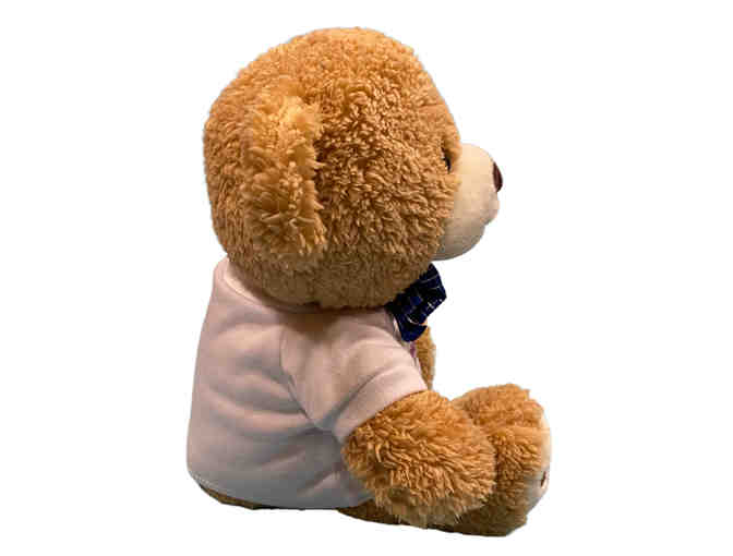 Bow Teddy Bear
