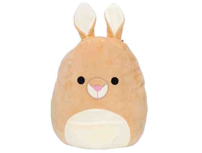 Plush Toy Gift Package- Rocker and Plush Animal