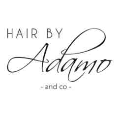 Hair By Adamo and Co.
