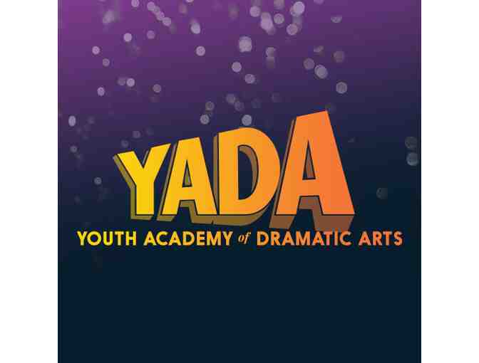 Youth Academy of Dramatic Arts $300 off Camp!