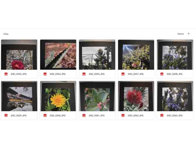 Ms. Romero-Matted Student Photographs -Item #361