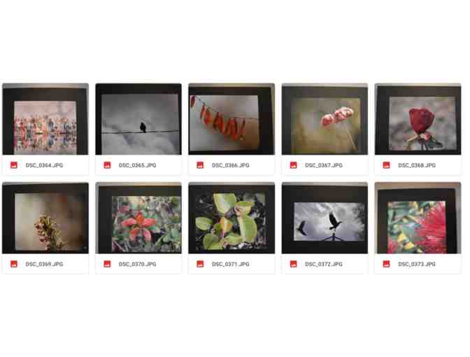 Ms. Romero-Matted Student Photographs -Item #374