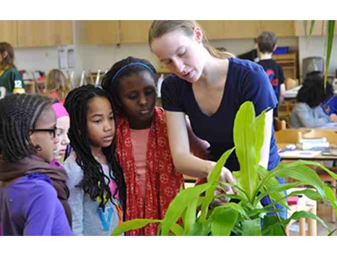 Artwork by Ms. Garretson's class