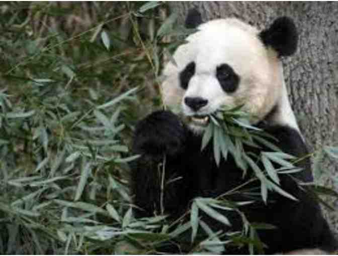 Playdate with Ms. Cole