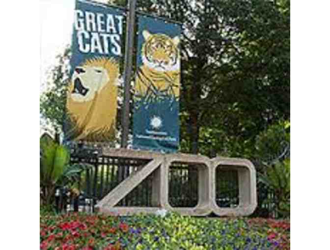 Spend a Day at the Zoo with Ms. Bennett!