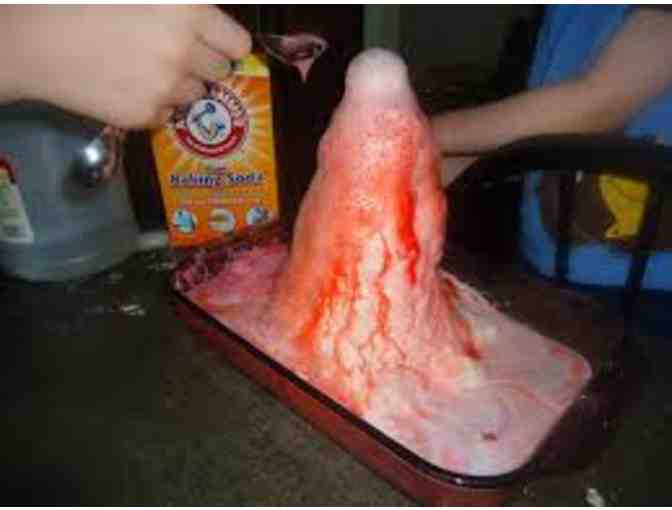 Fun with the Student Council