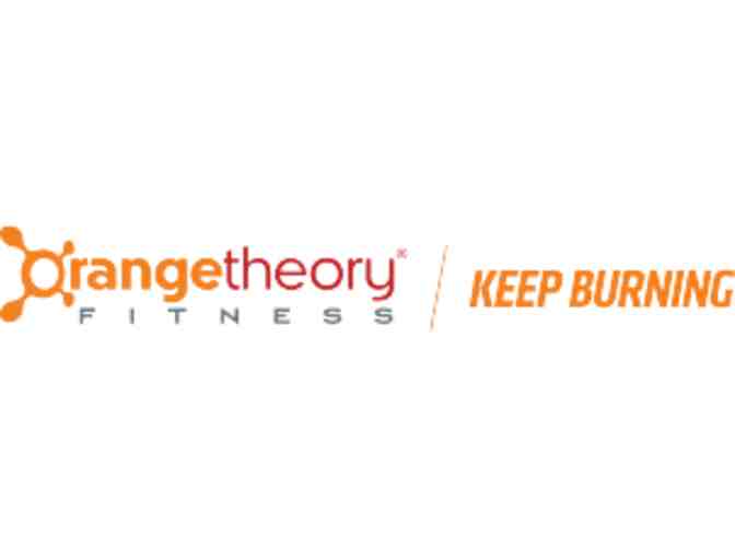 Orange Theory Fitness- 4 one hour sessions