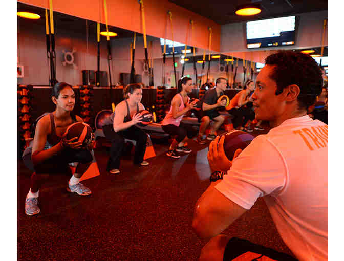 Orange Theory Fitness- 4 one hour sessions