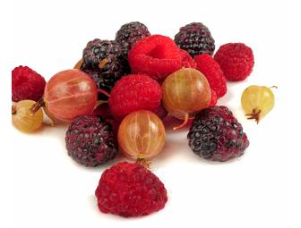 Dinner for 10 prepared by Chef Gethin Thomas