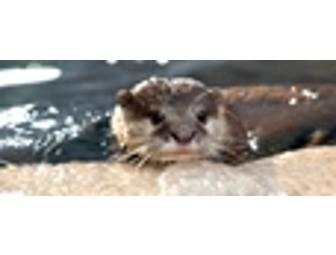 2 Tickets to Newport Aquarium