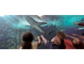 2 Tickets to Newport Aquarium
