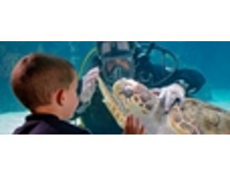 2 Tickets to Newport Aquarium