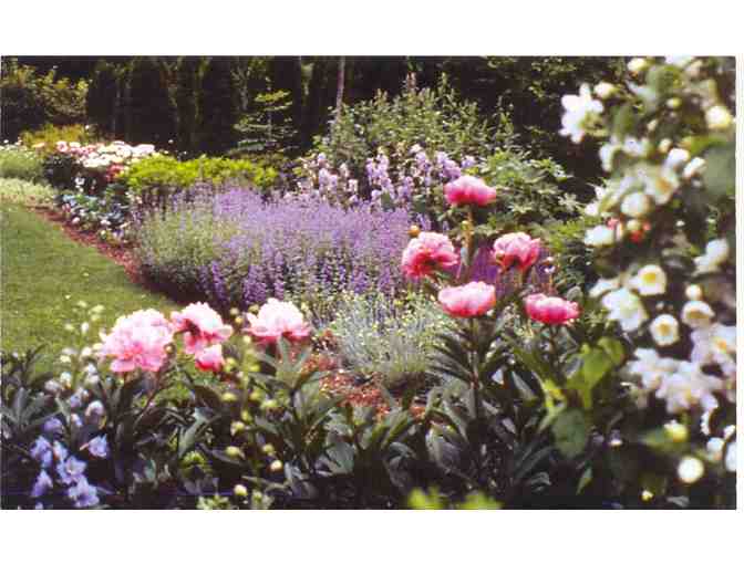 Private Tour of Glebe House & Gertrude Jekyll Garden