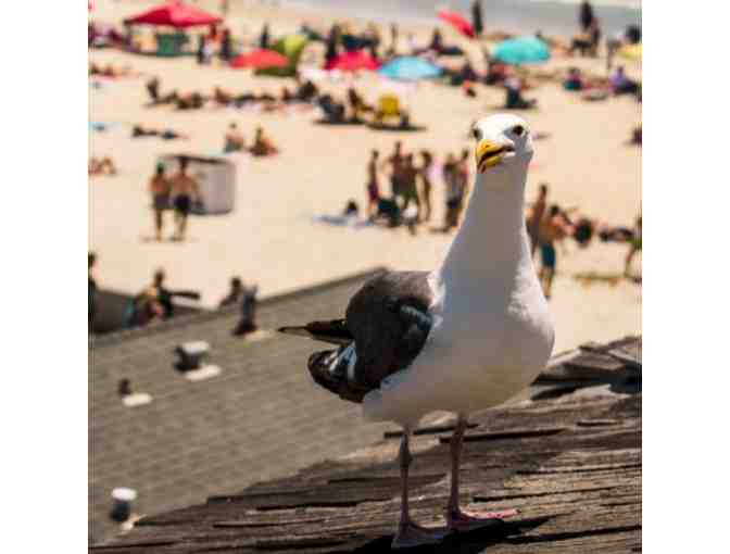 San Diego, CA - Beach Cottages - 2 nights in one bedroom cottage or one bedroom apartment