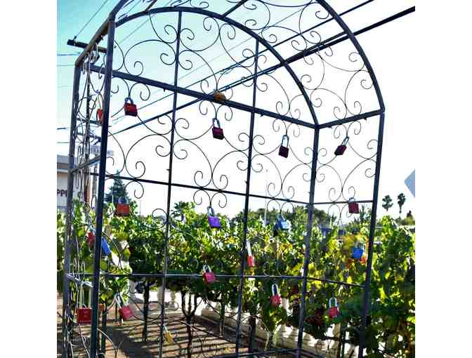 Napa, CA - Chardonnay Lodge - One night stay for two in the Paris Room Jacuzzi Suite