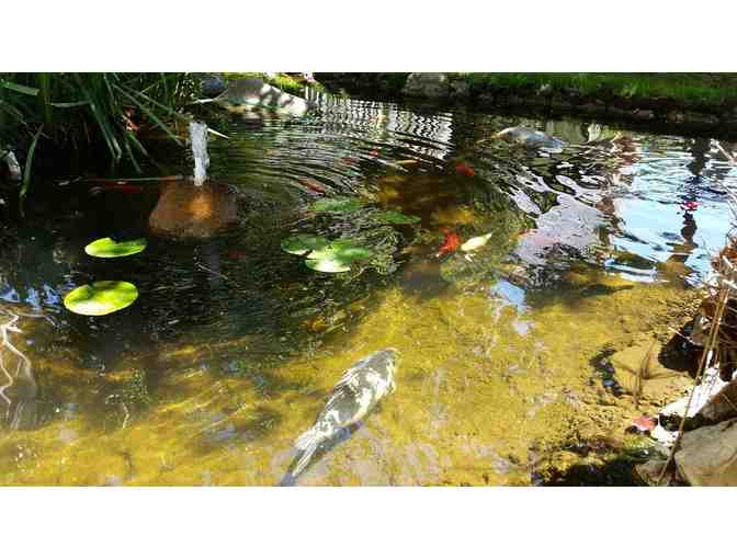 Solvang, CA - Wine Valley Inn & Cottages - 1 nt in Village Tower King Jr.Suite w/ brkfst