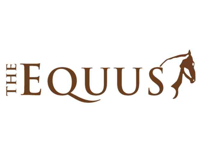 HI, Honolulu - The Equus Hotel - 2 Night Stay