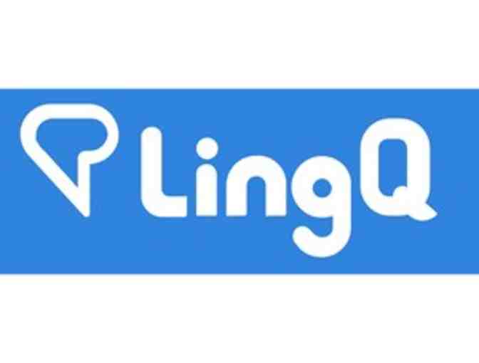 Foreign Language Lesson - LinQ - Premium Online Membership