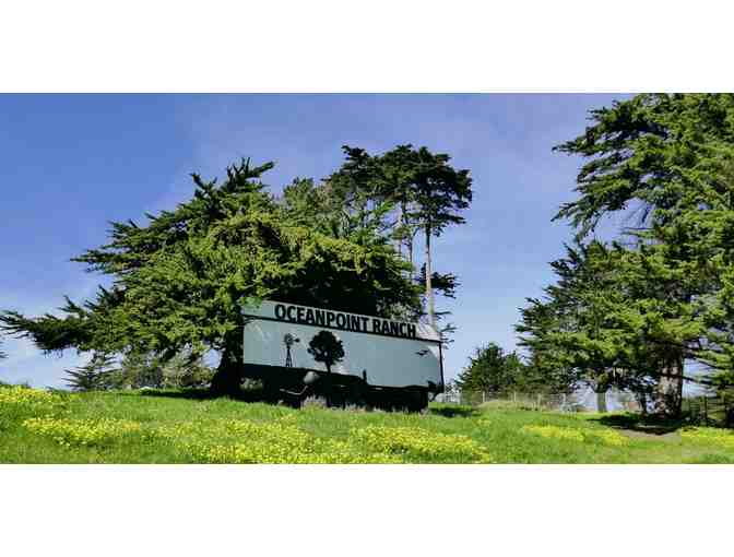 Cambria, CA - Oceanpoint Ranch - Two night stay