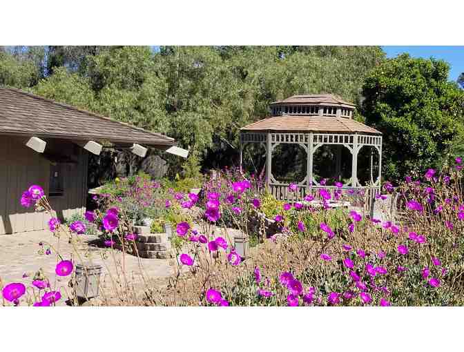 Carmel Valley, CA - Carmel Valley Lodge - $300 Gift Card Valid Toward a Two-night Stay - Photo 3