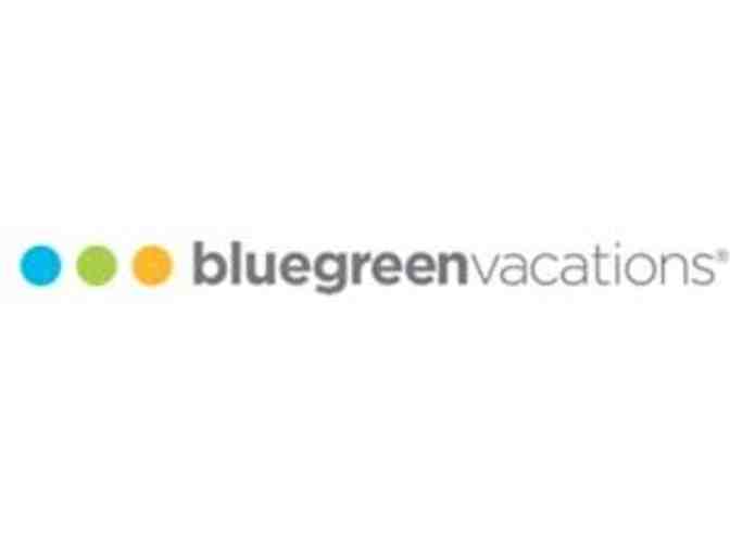 5-day/4-Night Vacation at one of these 7 Bluegreen Resort Villas!  Your choice!