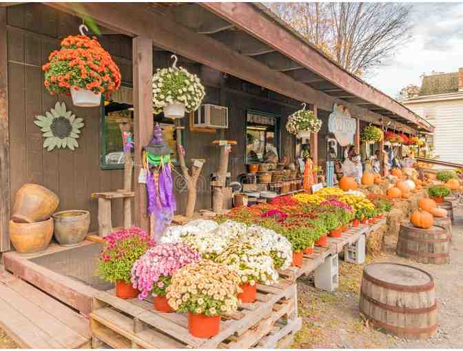 $25 Gift Certificate to The Country Store in Windham, NY