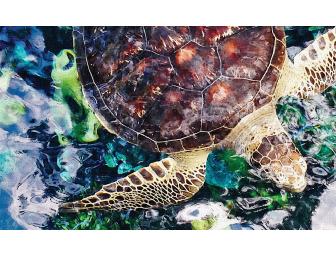 Beautiful Framed Artwork