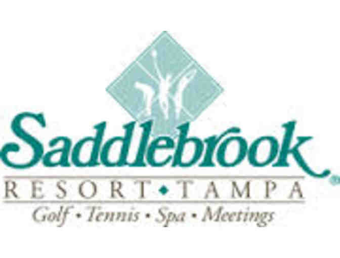 Golf - Foursome - Saddlebrook Resort!