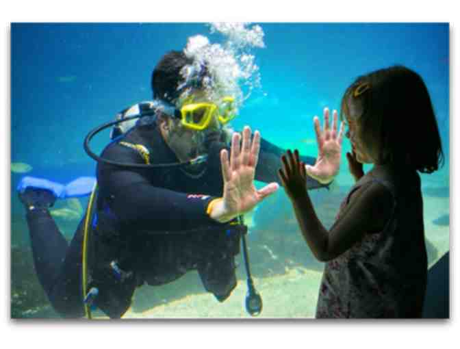 (4) Passes for Adventure Aquarium