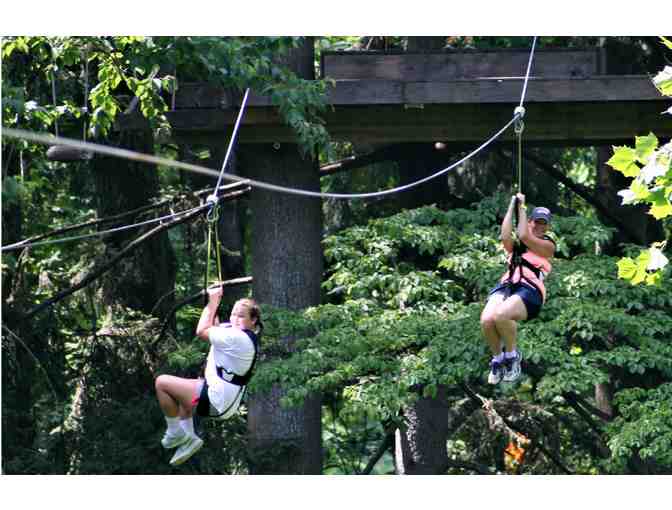 Treehouse World - Four (4) Tickets to the Valley Creek Zipline Tour