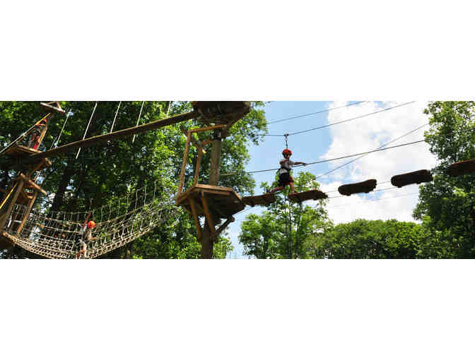 Treehouse World - Four (4) Tickets to the Valley Creek Zipline Tour