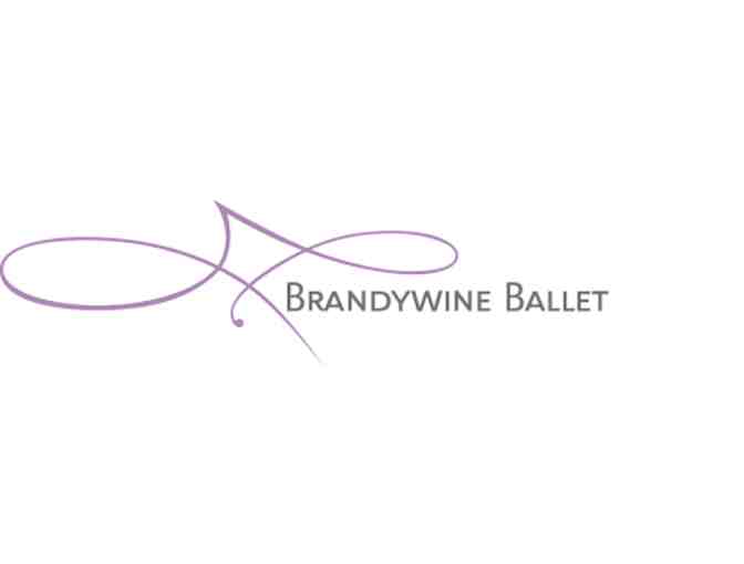Brandywine Ballet - Two Ticket Vouchers for Company Production of Sleeping Beauty