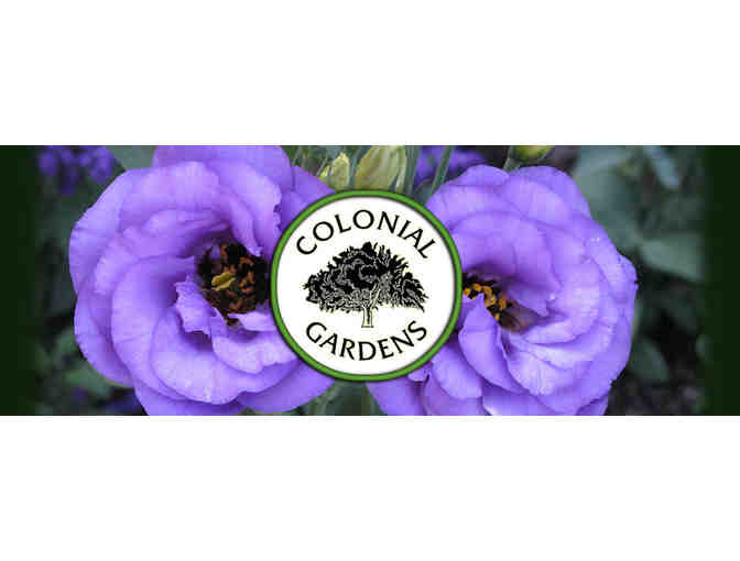 Colonial Gardens - $25 Gift Card