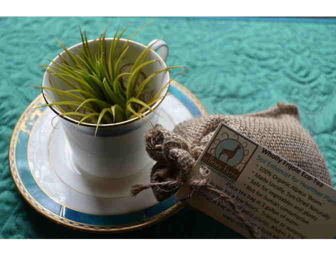 Silkie's Farm - $35 Gift Certificate