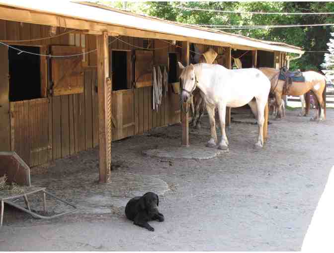 Sheeder Mill Farm - $30 of Horse Riding Time