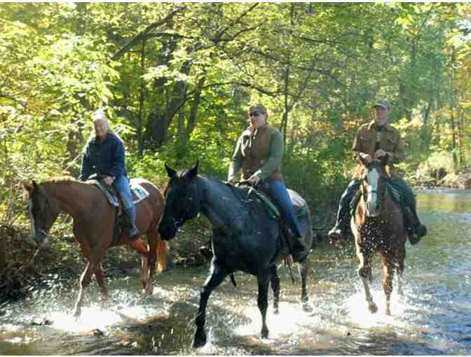 Sheeder Mill Farm - $30 of Horse Riding Time