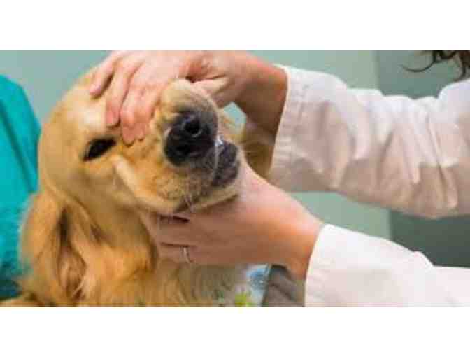 Schwenksville Veterinary Hospital - One Pet Exam