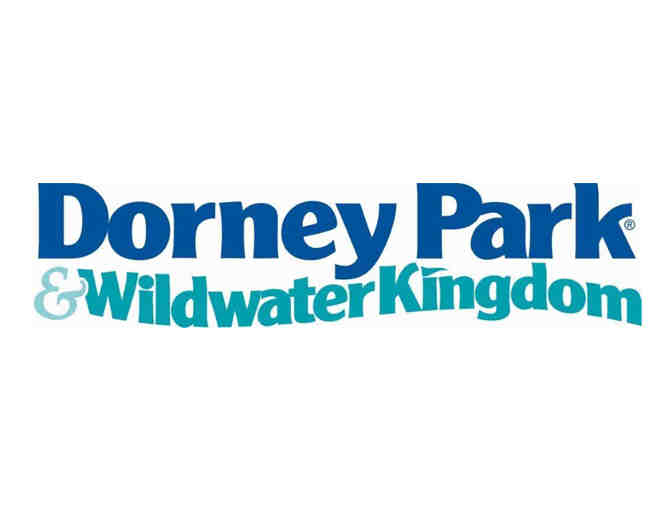 Dorney Park - Four Single-Day Admission Passes