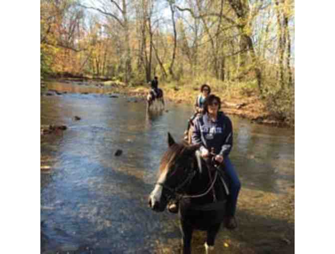 Sheeder Mill Farm - $30 of Horse Riding Time