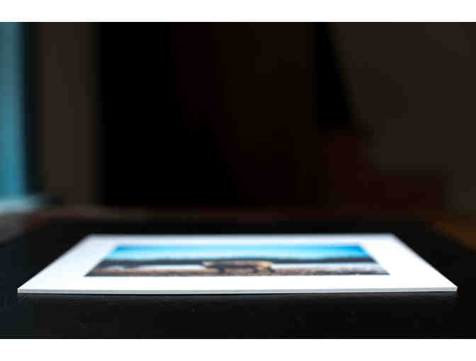 Art Photograph - Sheep