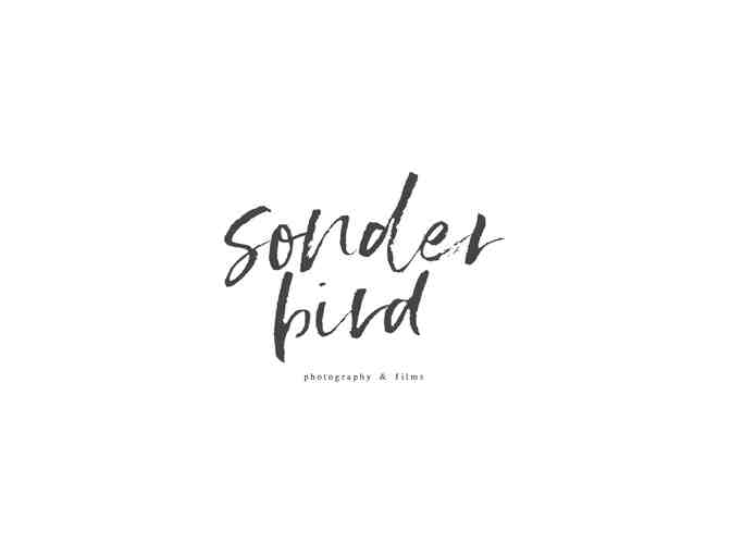 Art Photograph - Sheep