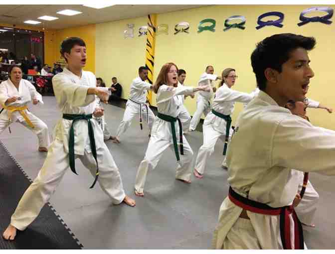 Tiger Kicks Tae Kwon Do - One Month of Classes and a Uniform