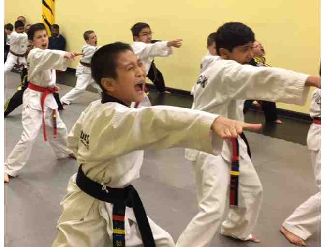 Tiger Kicks Tae Kwon Do - One Month of Classes and a Uniform