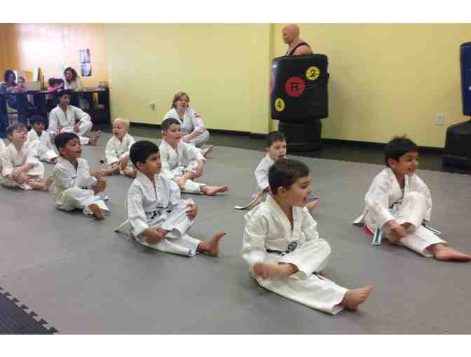 Tiger Kicks Tae Kwon Do - One Month of Classes and a Uniform