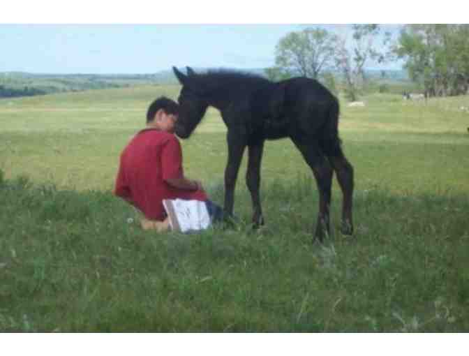 Nakota Preserve - One Hour Children's Riding Class